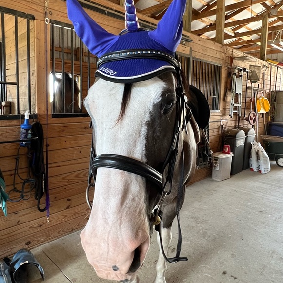 Meet your Posher, Cindy - Picture 1 of 1